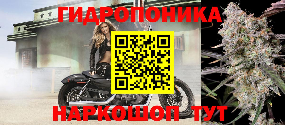 Шишки марихуана SATIVA & INDICA  Вход с VPN  Северодвинск  Бошки Шишки планчик  МАРИХУАНА семена  Конопля White Widow 
